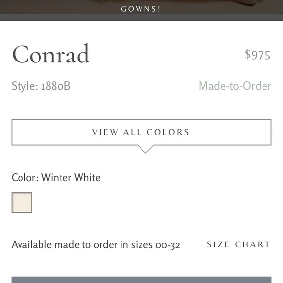 Jenny Yoo Conrad dress for BHLDN NWOT - Picture 2 of 6